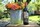 Austin Street Red 2017 - View 2