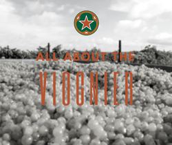 All About The Viognier