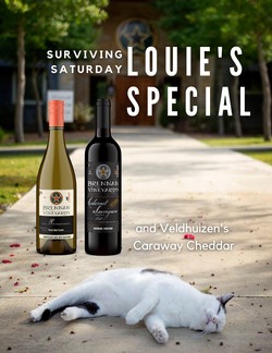 Surviving Saturdays
